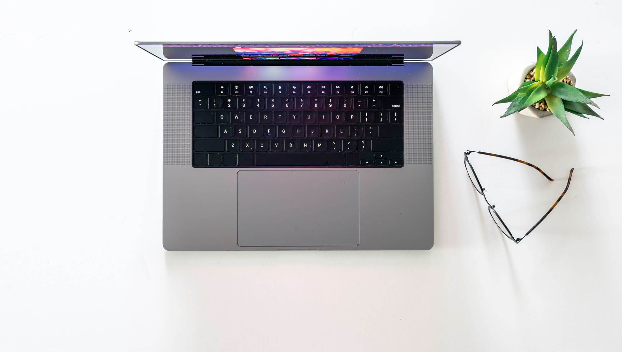 Hero Section Image white background and in the middle a laptop with a plant 