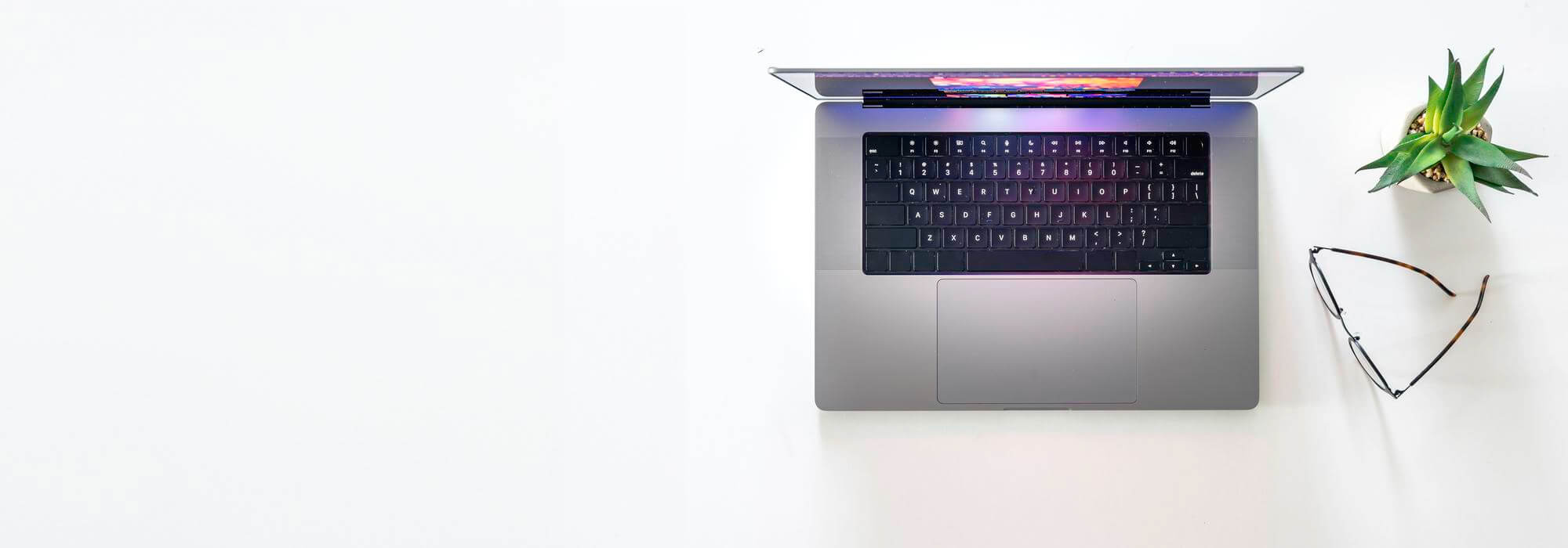 Hero Section Image white background and in the middle a laptop with a plant 